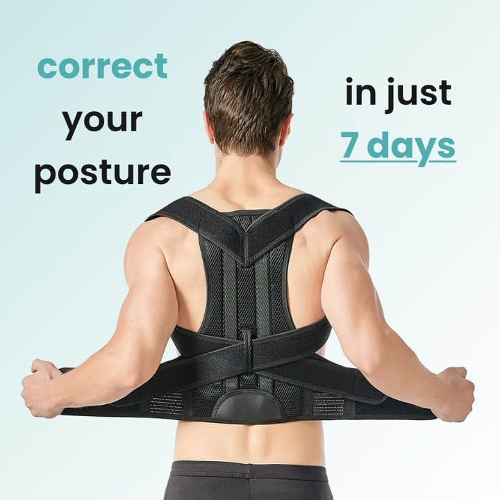 Orthonest - back posture corrector