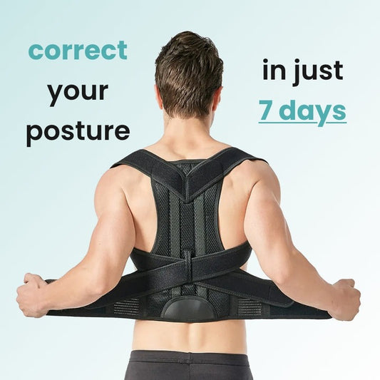 Orthonest - back posture corrector